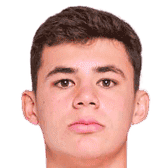 加布里埃尔·莫斯卡多