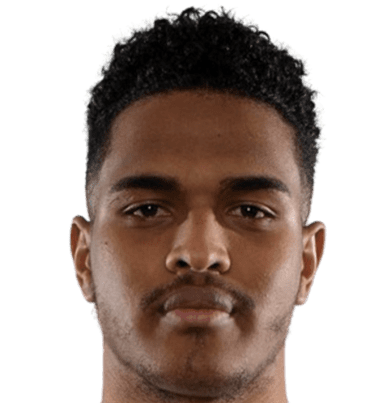 莱恩·拉维罗森