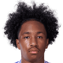 马利克·福法纳