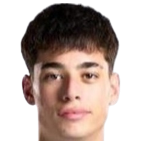 扬·维吉利·特纳斯