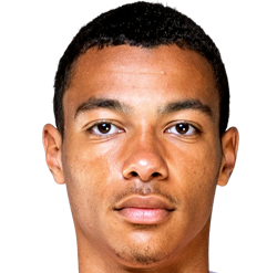 雨果·埃基蒂克